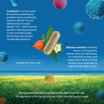 Caruso's Anxiety Eze Probiotic 60 Capsules