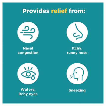 Nasonex Allergy 24 Hour Nasal Spray Twin Pack 2 x 140 Sprays