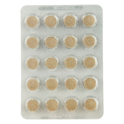 Senokot Tablets 100 Pack