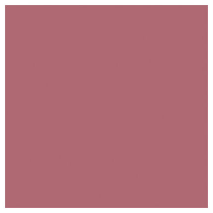 L'Oreal Colour Riche Lip 453 Rose Crème