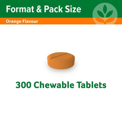 Cenovis Sugarless C 500mg Orange Flavour Value Pack 300 Chewable Tablets