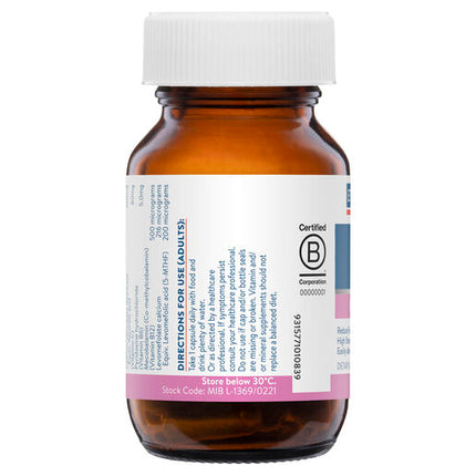 Ethical Nutrients Megazorb Mega Iron With Activated B's 30 Caps