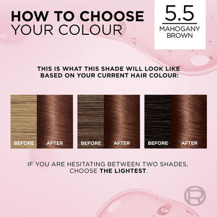 L'Oreal Excellence 5.5 Mahogany Brown
