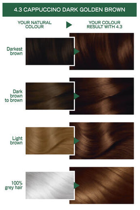 Garnier Nutrisse Hair Colour 4.3 Cappucino