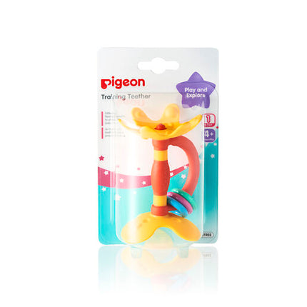 Pigeon Training Teether Step 1