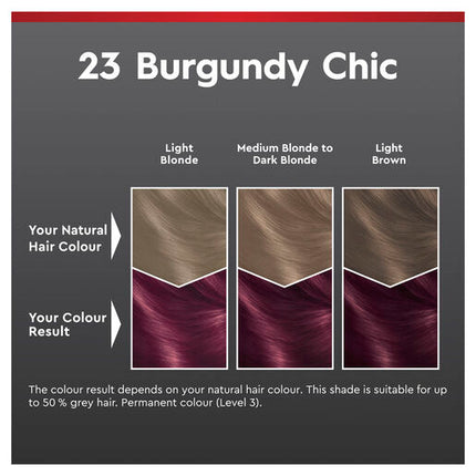 Schwarzkopf Brilliance Couture Collection 23 Burgundy Chic
