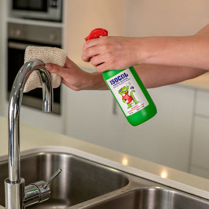 Isocol Rubbing Alcohol Antiseptic Spray 450mL