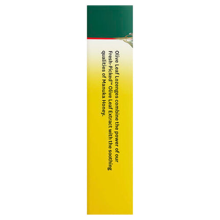 Comvita Olive Leaf Extract Lozenges with Manuka Honey 12 Pack