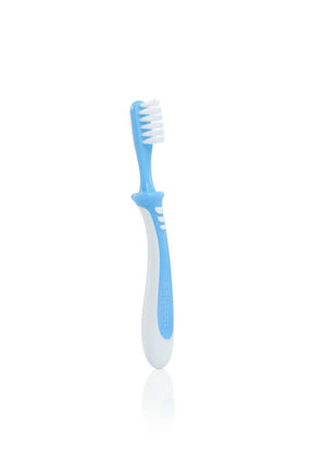 Pigeon Training Toothbrush Step 3