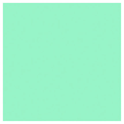 Sally Hansen Insta-Dri Nail Polish 510 Gain Mo-Mint-Um