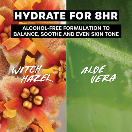 Thayers Unscented Alcohol Free Toner With Witch Hazel Aloe Vera 355ml