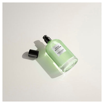 David Beckham Aromatic Greens Eau De Parfum 100ml