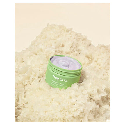 Hey Bud Mushroom + Hemp Hydrating Mask 100g