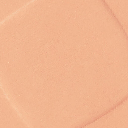L'Oreal Infallible Foundation In A Powder 245 Golden Honey