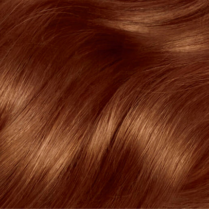Clairol Nice 'N Easy 6RB Light Chestnut Brown