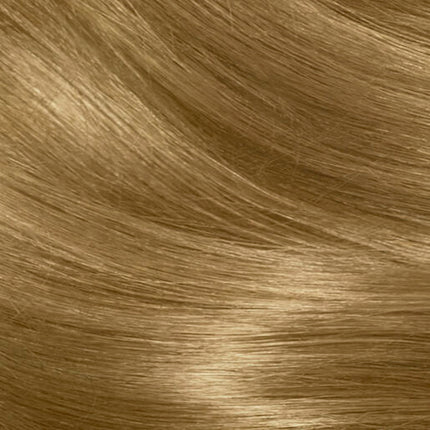 Clairol Nice 'N Easy 8CB Medium Champagne Blonde