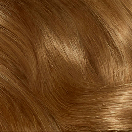 Clairol Nice 'N Easy 6.5G Light Golden Brown