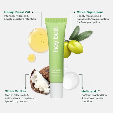 Hey Bud Hemp Lip Balm Rose 15ml