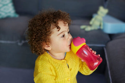 Philips Avent Dinosaur Straw Cup 300mL