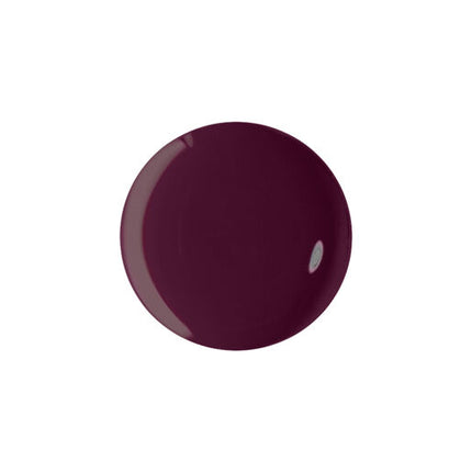 Maybelline Fast Gel Longwear Nail Lacquer 13 Possessed Plum