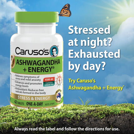 Caruso's Ashwagandha + Energy® 42 Tablets