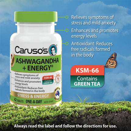 Caruso's Ashwagandha + Energy® 42 Tablets