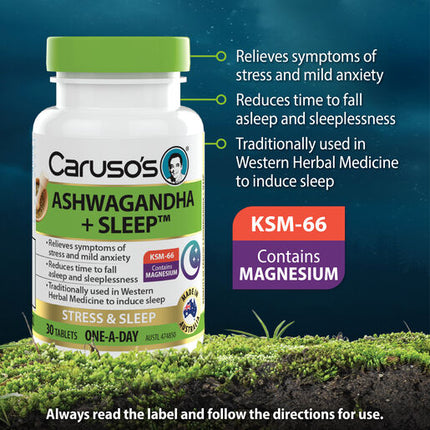 Caruso's Ashwagandha + Sleep™ 30 Tablets