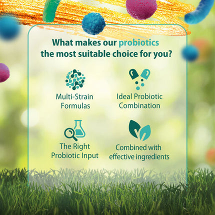 Caruso's Indigestion EZE Probiotic 50 Capsules