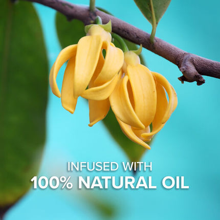 Palmolive Luminous Oils Foaming Hand Wash, King Island Kelp & Ylang Ylang Oil, 400mL Pump