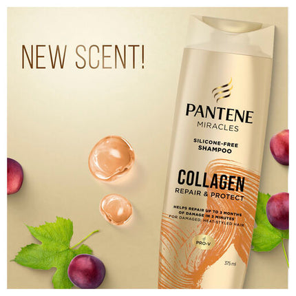 Pantene Miracles Collagen Repair & Protect Silicone-Free Shampoo 375ml