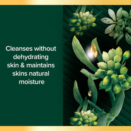 Palmolive Luminous Oils Liquid Body Wash East Coast Sea Fennel & Argan Oil 750mL