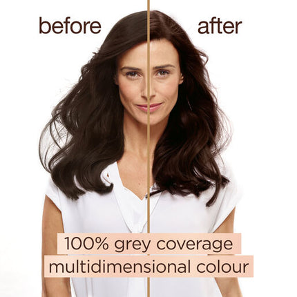Garnier Good Hair Colour 4.15 Iced Chestnut Brown
