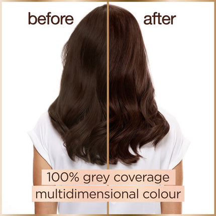 Garnier Good Hair Colour 4.15 Iced Chestnut Brown