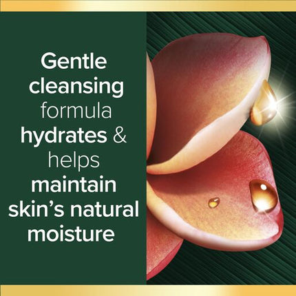 Palmolive Luminous Oils Body Wash 750mL, Far North Queensland Frangipani & Coconut, Nourish & Glow