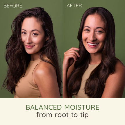 Aveeno Oat Milk Blend Shampoo 354ml