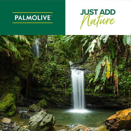 Palmolive Naturals Active Nourishment Normal Hair Shampoo Aloe Vera & Fruit Vitamins 700mL