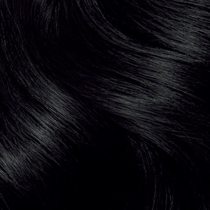 Clairol Nice 'N Easy 2 Natural Black