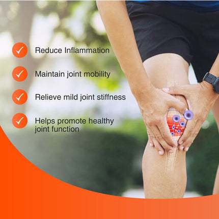 Fisiocrem Joint Ease Pain Relief Gel 200g