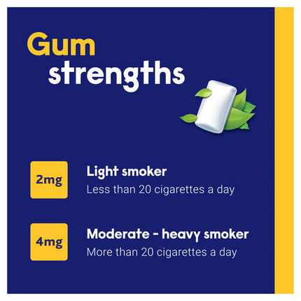 Nicabate Gum Stop Smoking Nicotine 2mg Regular Strength Extra Fresh Mint 30 Pack