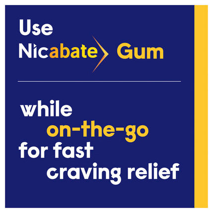 Nicabate Gum Stop Smoking Nicotine 2mg Regular Strength Extra Fresh Mint 30 Pack