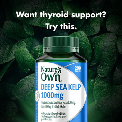 Nature's Own Kelp 1000Mg 200 Tablets