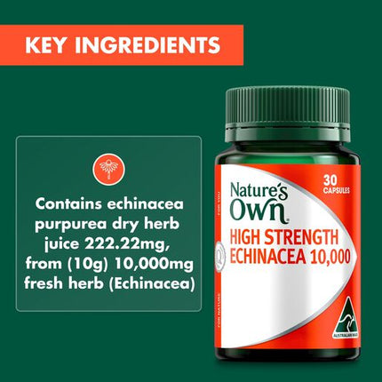 Nature's Own High Strength Echinacea 10,000Mg 30 Capsules