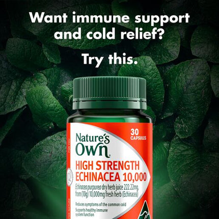 Nature's Own High Strength Echinacea 10,000Mg 30 Capsules