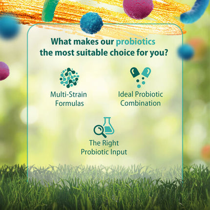 Caruso's Probiotic IBS Fighter 30 Capsules