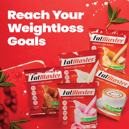 Naturopathica FatBlaster Weight Loss Shake 14 Meal Variety Pack 14x33g