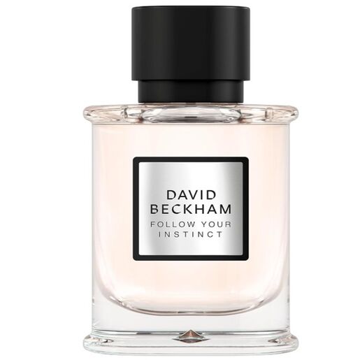 David Beckham Follow your Instinct Eau de Parfum 50ml