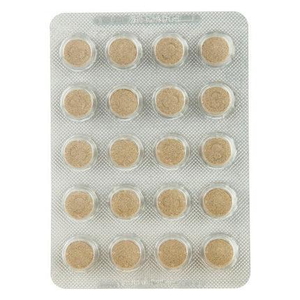 Senokot Tablets 100 Pack