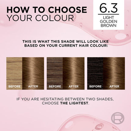 L'Oreal Excellence 6.3 Light Golden Brown