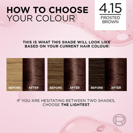 L'Oreal Excell 4.15 Dark Frosted Brown