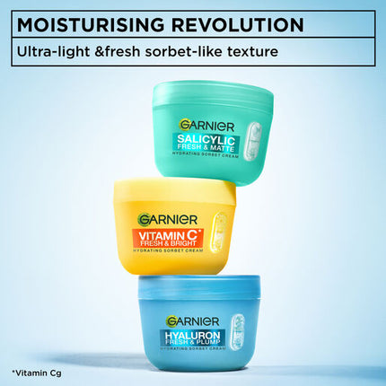 Garnier Hyaluronic Sorbet Cream 100g